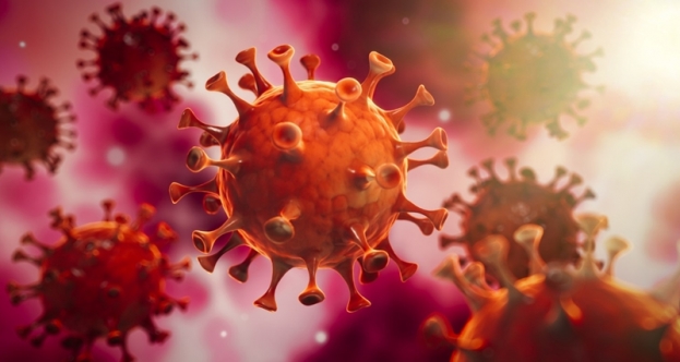 Zašto WHO manipulira brojkama smrtnosti od koronavirusa?
