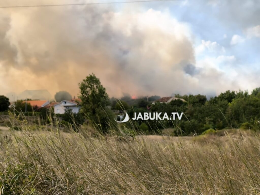 Deseci požara u ŽZH: Gorjele šume, krov i automobil