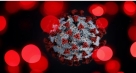 U ŽZH 9 osoba pozitivno na koronavirus