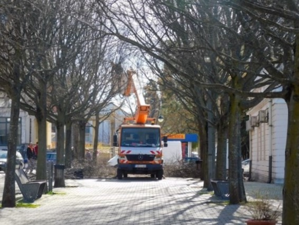 JP Parkovi: Krenula proljetna rezidba stabala u gradu