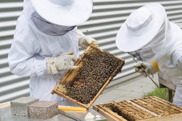 U petak u Mostaru samit pčelara iz cijele Federacije BiH