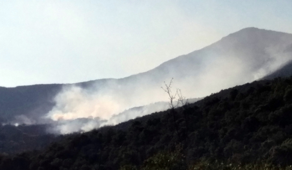 Selo je gorjelo, a piromani se češljali: Vatrogasci se do dugo u noć borili s požarom u Kašču, intervenirala i policija