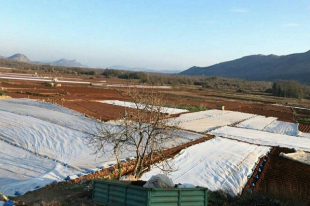 Ljubuški poljoprivrednici: Preostaje nam, dok još imamo volju za radom, okrenuti se plasteničkoj proizvodnji