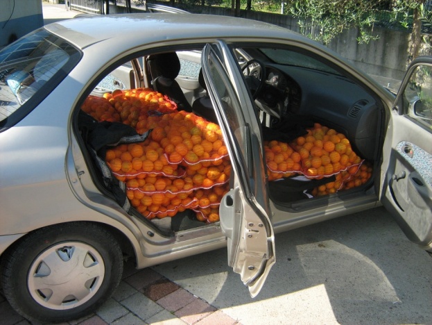 Lov u Hercegovini: Pali krijumčari mandarina i duhana