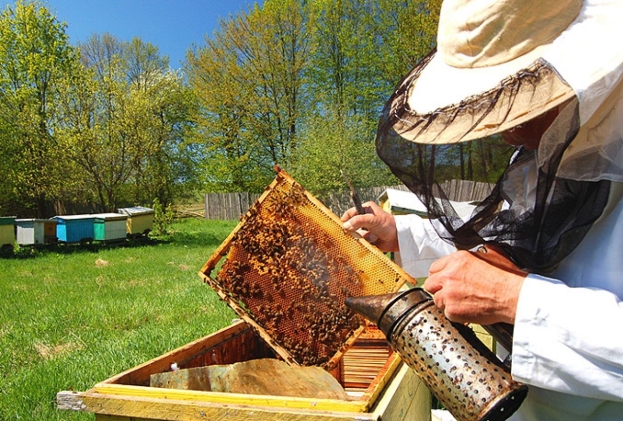 Najava: U nedjelju Skupština Udruge pčelara “Kadulja”