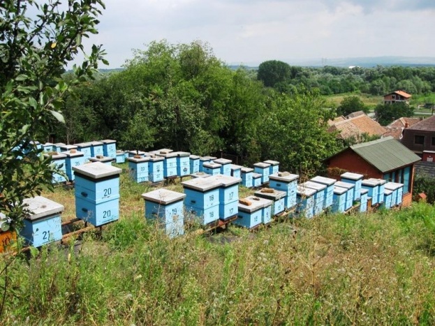 U ŽZH isplaćeni poticaji za stočarstvo, peradarstvo i pčelarstvo za ovu godinu