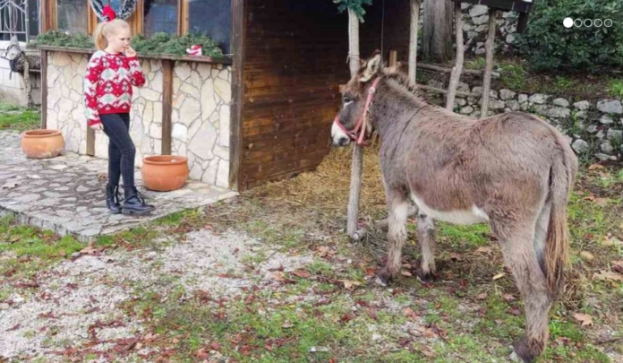 Jozo Šimović i Eustahije pobjednici ‘Utrke magaraca’ u Čapljini