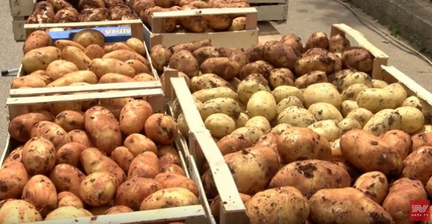 Na veletržnicu stigli prvi rani domaći krumpiri iz Ljubuškog
