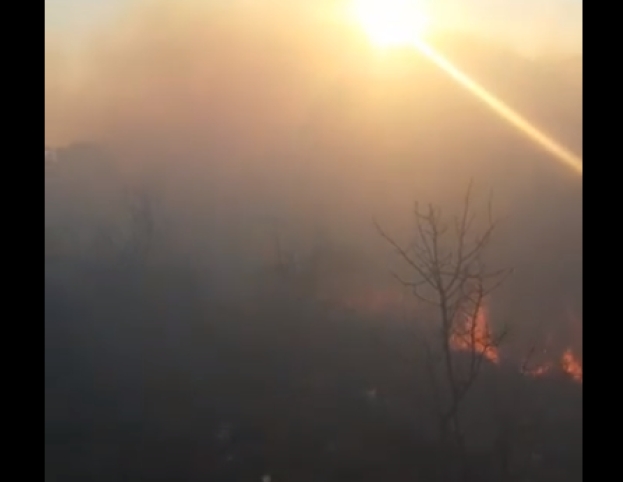 Ljubuški vatrogasci gasili požar u Crvenom Grmu [VIDEO]
