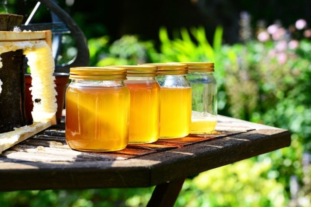 Hercegovački med iznimne kvalitete vraća se na sajam