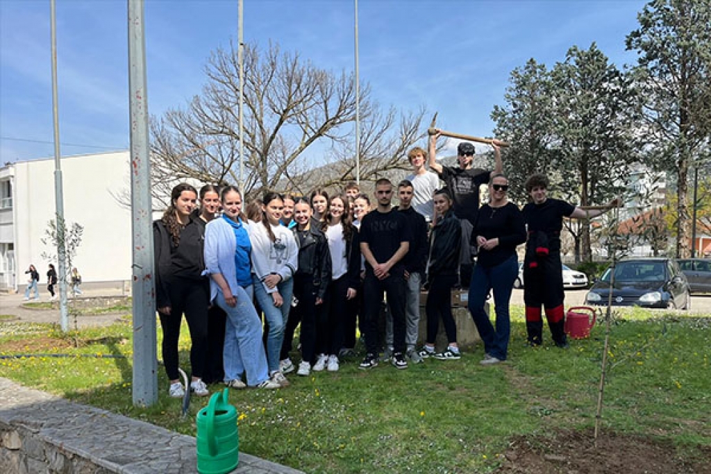 Gimnazija Ljubu&scaron;ki: Sadnja maslina u dvori&scaron;tu &scaron;kole