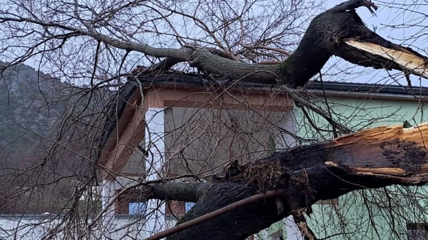 Stablo se sru&scaron;ilo na objekt Medžlisa Islamske zajednice Ljubu&scaron;ki