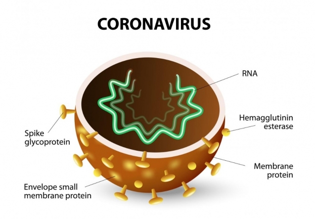 ŽZH bez novozaraženih osoba na prisustvo koronavirusa