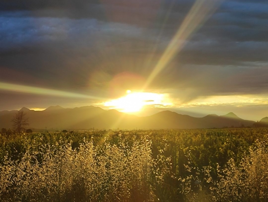 Hladna jutra i ugodni dani: Evo kakvo nas vrijeme očekuje do petka