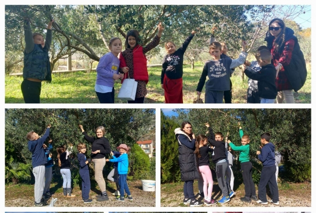 OŠ Marka Marulića Ljubuški: KAP ULJA, MORE DOBROTE