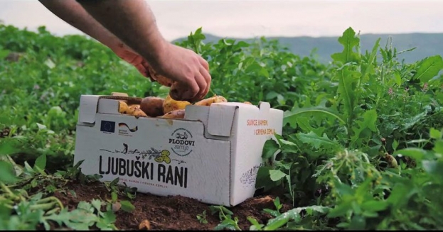 Ljubuški rani krumpir ima certifikat o zaštiti oznake zemljopisnog podrijetla i izvrsno je brendiran proizvod