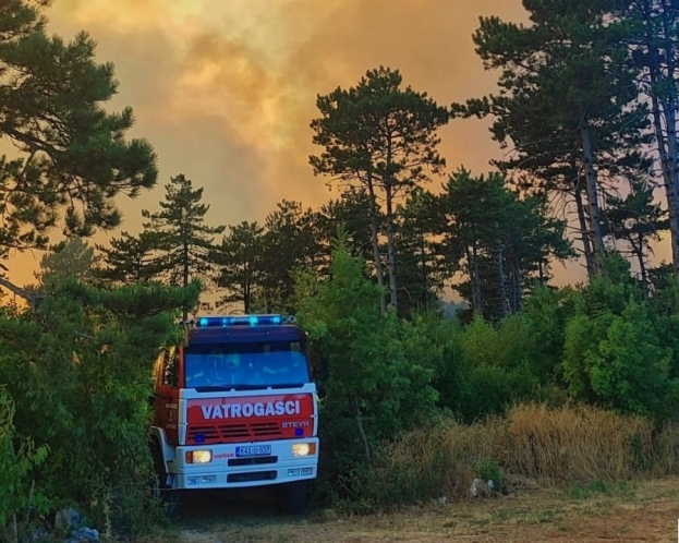 Požar u Crvenom Grmu većim dijelom ugašen, vatrogasci kontroliraju požarište