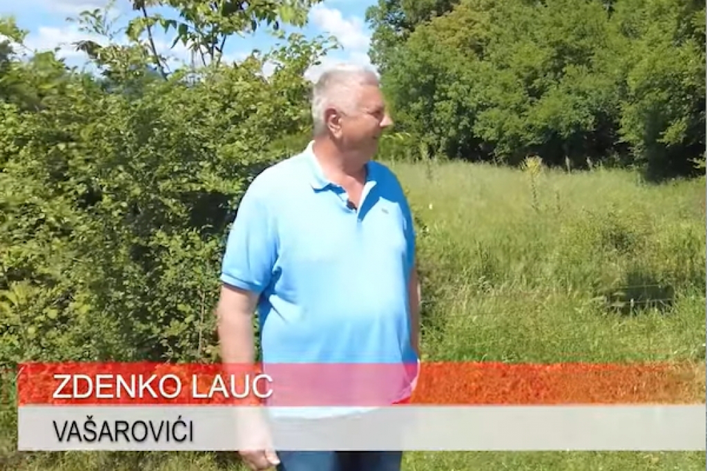 Kako Zdenko živi svoju drugu mladost: Umjesto mirovine u stanu – ovce, voćnjak i janjetina iz Vašarovića [VIDEO]