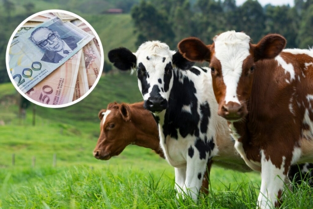 Objavljena rang-lista: Pogledajte tko je dobio sredstva za razvoj poljoprivrede u BiH