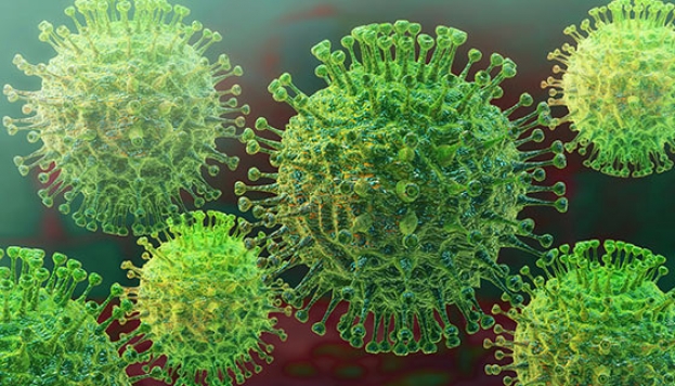 Koronavirus opasan tek kao i obična gripa