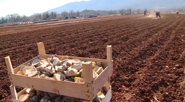 Te&scaron;ka godina za "Ljubu&scaron;ki rani" &ndash; između ki&scaron;e i neizvjesnosti