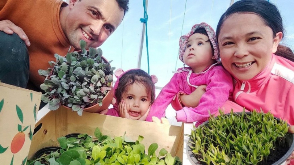 S Filipina došli u BiH: Uzgajaju preko 300 vrsta različitog povrća, sve na organski način