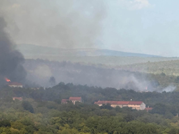 Požar u Cernu stavljen je pod kontrolu