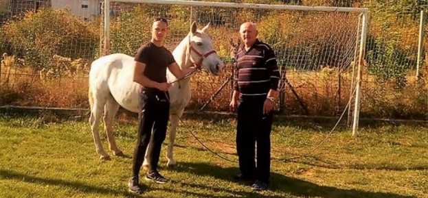 U Crvenom Grmu pronađeni magarac Puki i kobila Etna odlutali s imanja iz Metkovića [video]