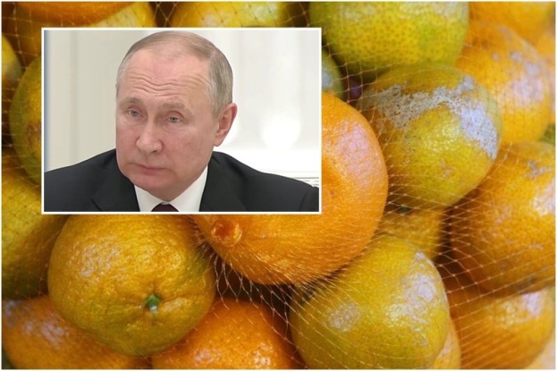 Kako je Vladimir Putin uništio proizvođače u Dolini Neretve
