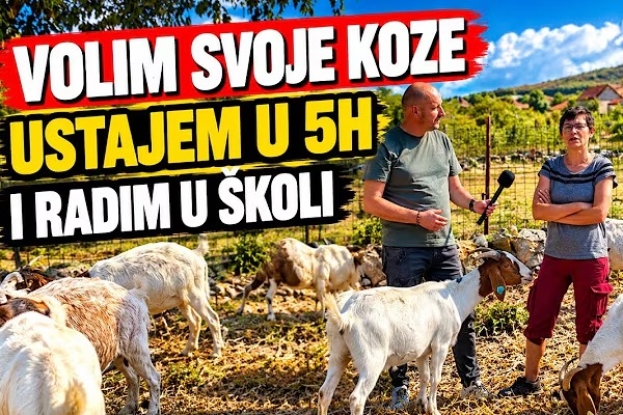 Marela iz Zvirovića već 12 godina živi uz koze: „Volim sve životinje, ali one su moja ljubav“