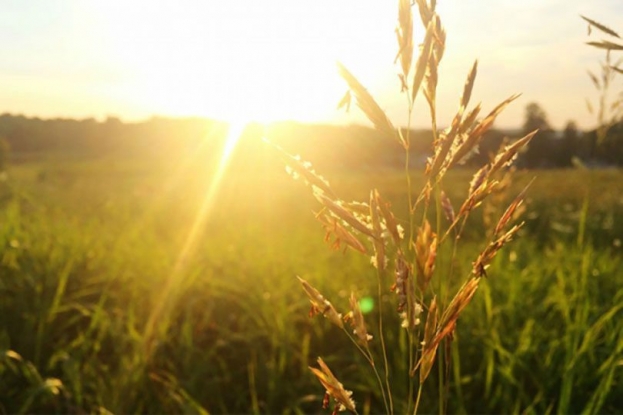 U BiH će danas biti sunčano, uz malu do umjerenu oblačnost