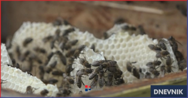 U ŽZH više od 80% pčelara sele košnice: Uspješna sezona samo na višim nadmorskim visinama
