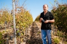 U Hercegovini se prepolovila prodaja i izvoz vina