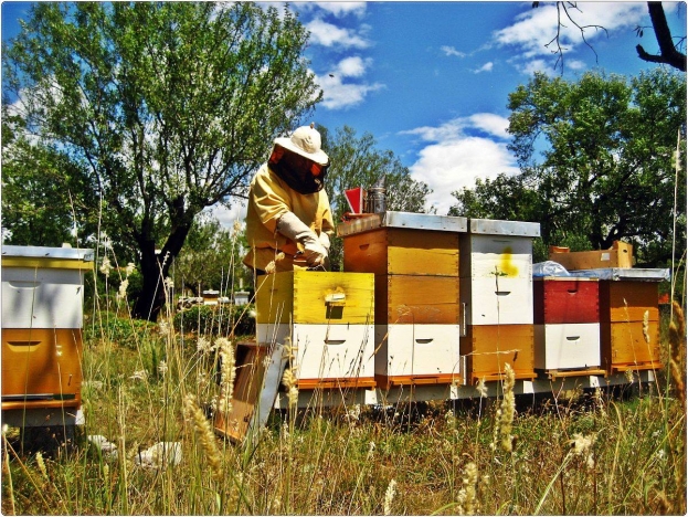 Loš početak sezone za pčelare u Hercegovini