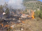 Veliki požar u Klobuku, gori uz groblje, vatra prijeti i obližnjem naselju [foto&amp;video]