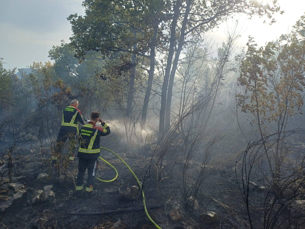 Stala ki&scaron;a, počeli požari: Pune ruke posla za vatrogasce u ŽZH