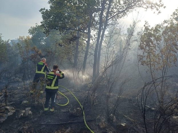 Stala ki&scaron;a, počeli požari: Pune ruke posla za vatrogasce u ŽZH