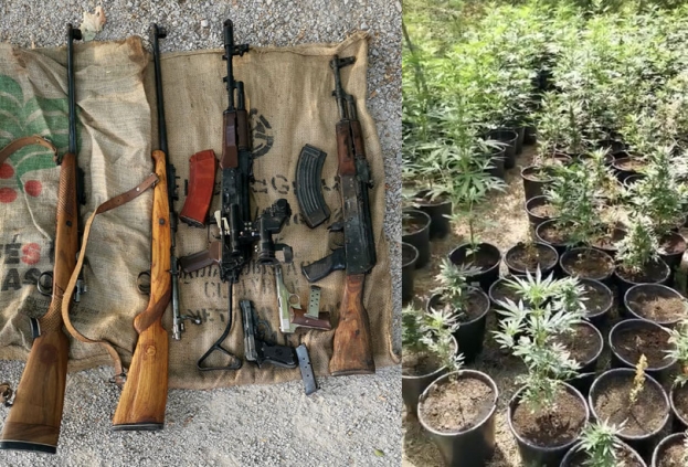 U Grudama otkrivena velika plantaža marihuane i arsenal oružja